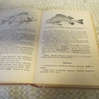 KANSAKOULUN LUONNONTIETO 1934 - pikkukuva 3