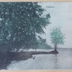 Yläne, Pyhäjärvi, rantamaisema, vanha väripk, p. 1909 - pikkukuva 1