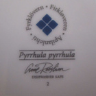 APILANLEHTI POHJOLAN LINNUT PUNATULKKU LAUTANEN 26,5cm - pikkukuva 4