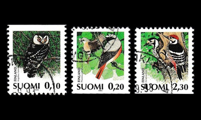 1209-11 o Helmipöllö, leppälintu, valkoselkätikka (1993)