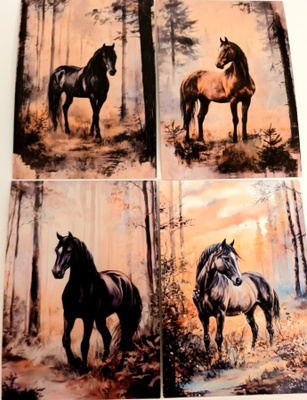 Postikortit HEVOSET / 4 kpl -setti