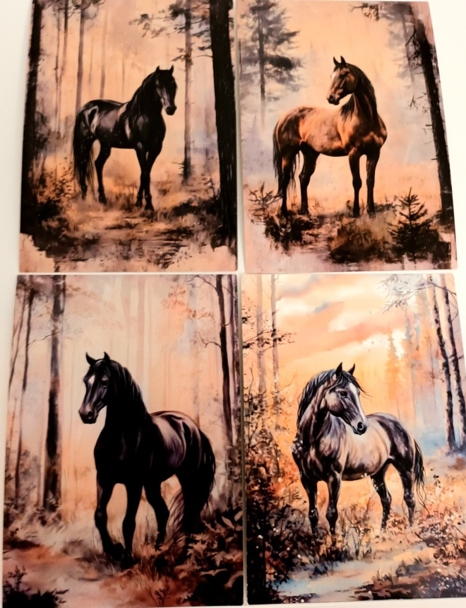 Postikortit HEVOSET / 4 kpl -setti