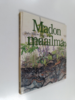 Juha Ilkka : Madon maailma