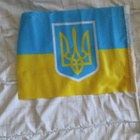 Ukrainan lippu - pikkukuva 2