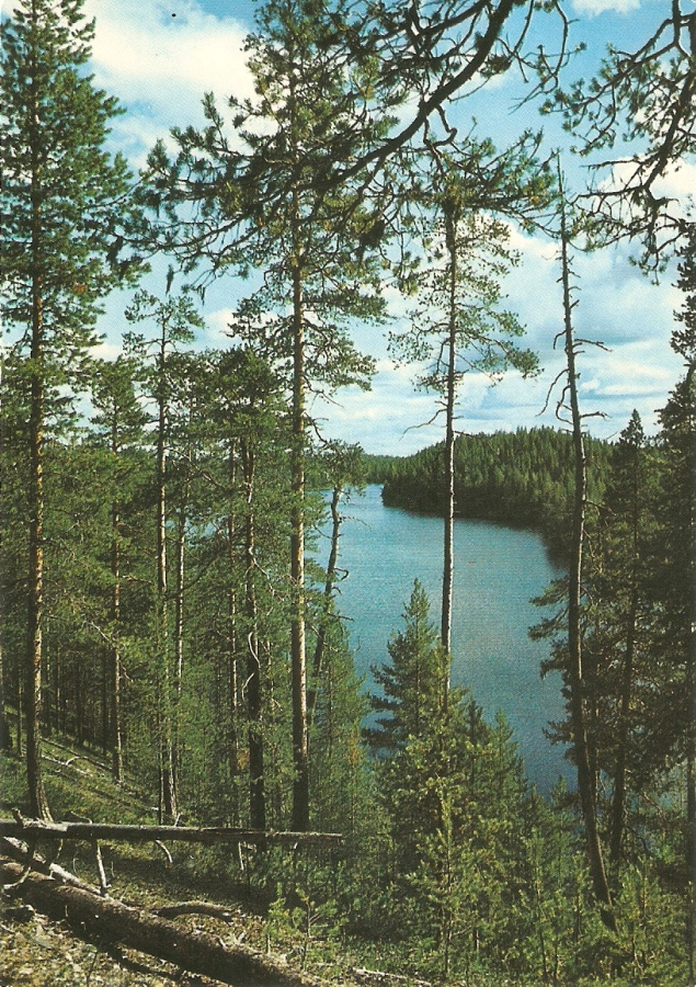 SUOMUSSALMI  : Hossa. Ei kulk.