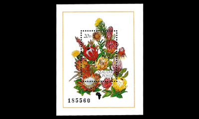 Unkari 4081BL208 ** Proteakasvit kukkia (1990)