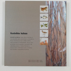 Retkelle kosteikkoon - pikkukuva 2