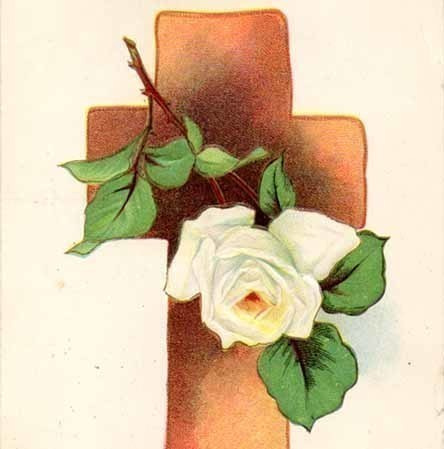 RUUSU / Puhutteleva valkoinen ruusu ja puinen risti. 1900-l.