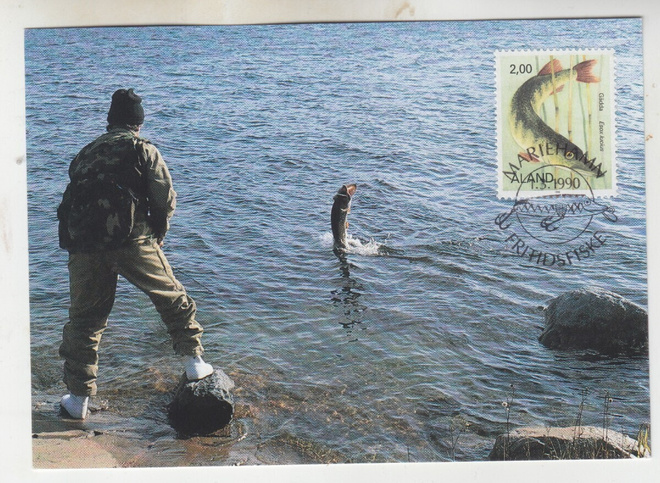 Åland 1990  haukimaksimikortti.