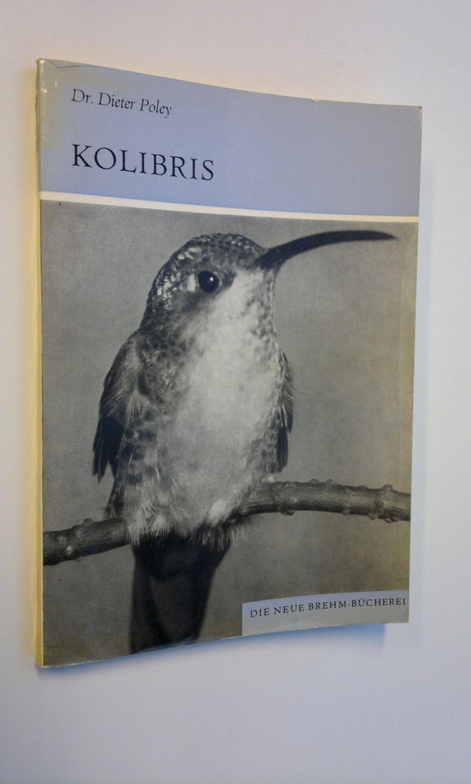 Dieter Poley : Kolibris