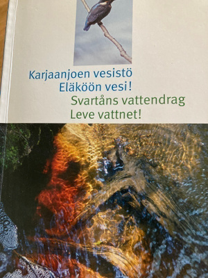 KARJAANJOEN VESISTÖ
