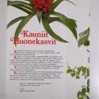 Tuula (suom.) Syvänperä : Kauniit huonekasvit - pikkukuva 2