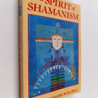 Roger N. Walsh : The Spirit of Shamanism - pikkukuva 1