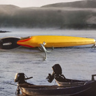 Rapala magnum 11 - pikkukuva 4