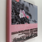 Camilla Lindberg ym. : Röster från Rosala (signeerattu) - pikkukuva 1