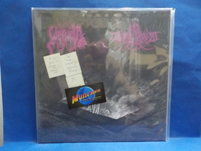THE TRUE WERWOLF / DRUADAN FOREST - S/T M-/M- LP