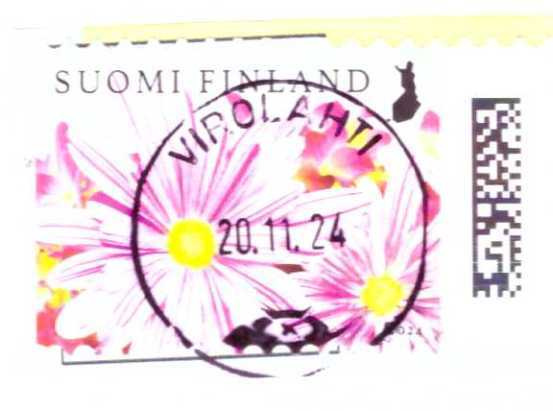 v. 2024  "Sädekukkia"  LO  Virolahti 20.11.24