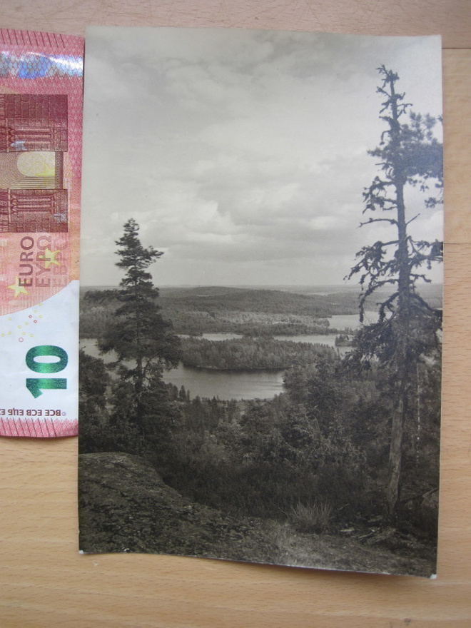 VANHA Valokuva Mikä paikkakunta? Koli? 1930-luku