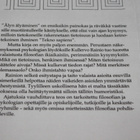 Rainio - Älyn älyäminen - pikkukuva 3