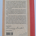 Lemony Snicket : Ratkaisun rajoilla - pikkukuva 2