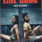 like dogs	(74 243)	UUSI	-FI-	nordic,	DVD			2021 - pikkukuva 3