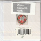 MINNA IMMONEN 2364 AMARYLLISSEPPELE - pikkukuva 2