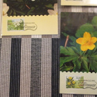 FDC Åland 3.2.1997 Kevätkukkia 4 : llä Maksimikortilla. - pikkukuva 3