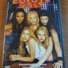 Coyote Ugly - pikkukuva 1