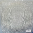 Paysage D'Hiver – Im Traum M-/M- 10'' EP - pikkukuva 2