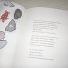 Huovi - Koskinen Simpukka - pikkukuva 3