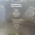 HARPISCORPSE - SUITE FOR... SWISS - 05 PRESS LP EX-/EX- - pikkukuva 2