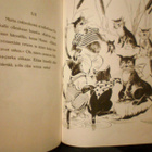 Knutsson: Pekka Töpöhäntä Pienokaisille (8.p.2005) Sis.pk:t - pikkukuva 4