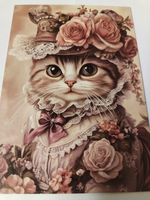 Kissa kortti, kulkematon.