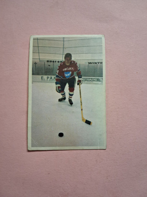 Panda. Jääkiekkokoulu. 14.