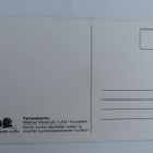 Pensaskerttu  (Luonto-liitto) - pikkukuva 2
