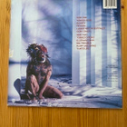 David Lee Roth  Eat 'em and smile  LP - pikkukuva 2