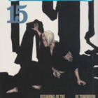 Tite Kubo: Bleach 15 - pikkukuva 1