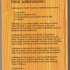 Sauli Junno: Leikkilipas - pikkukuva 2