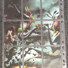 Cyberfrog Keräilykortteja - pikkukuva 4