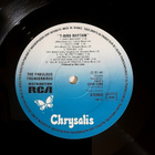 The Fabulous Thunderbirds - T-Bird Rhythm *Jimmie Vaughan* - pikkukuva 4