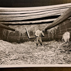 Viljan riihipuinti, näytös, kuvattu 1960, kulkematon - pikkukuva 1
