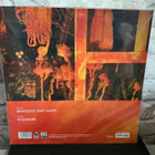 TIAMAT: Whatever That Hurts 12” Picture Disc - pikkukuva 4