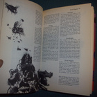 David Day: A-Z of TOLKIEN ( Sis.postikulut ) - pikkukuva 4