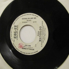 Abba Waterloo 7 45 italia 1974 promo - pikkukuva 1