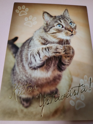 Kissa kortti,kulkematon.
