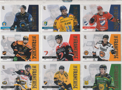 Blueline 2024-25 THE FRANCHISE Gold /500