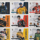 Blueline 2024-25 THE FRANCHISE Gold /500 - pikkukuva 1