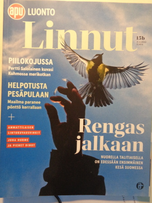 Apu luonto - linnut (27.7)