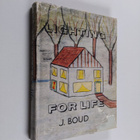 John Boud : Lighting for Life - pikkukuva 1