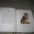 VELJEKSET VON WRIGHT - LINNUT ; numeroitu1998 /2000 - pikkukuva 3